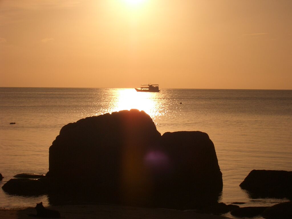 Click to See Next Image